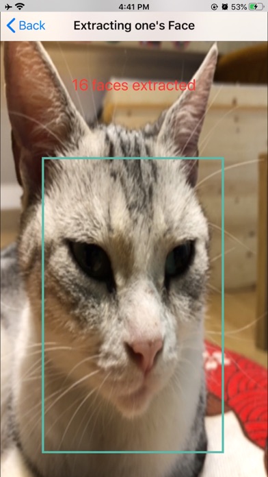 Catreco - Cat Face Recognitionのおすすめ画像2