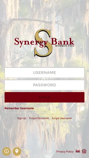 Synergy Bank screenshot 1