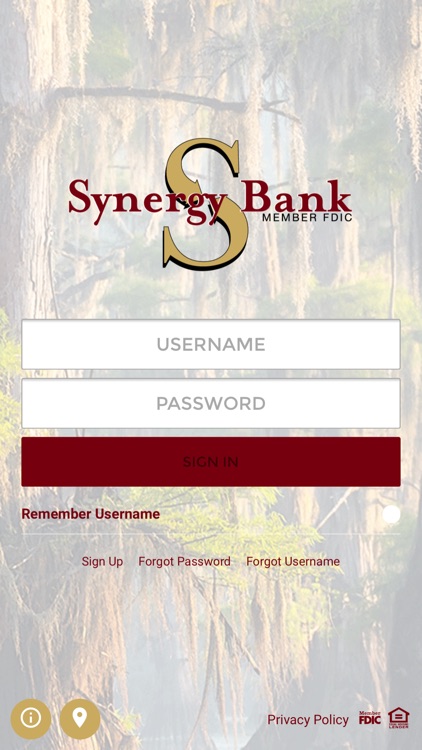 Synergy Bank