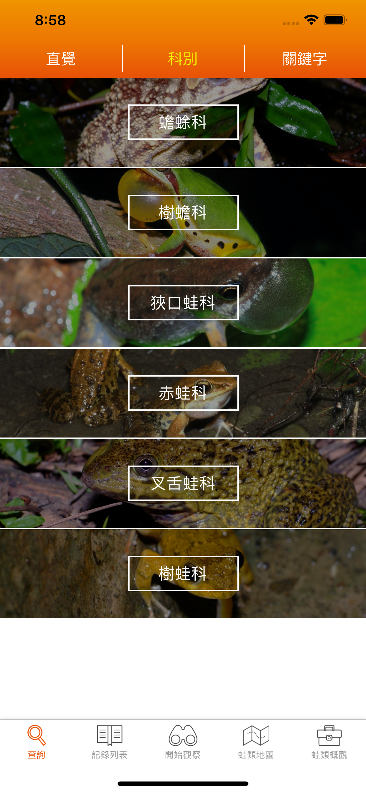 台灣蛙類圖鑑 screenshot 2