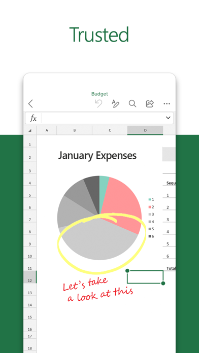 Microsoft Excel for iPad screenshot 2