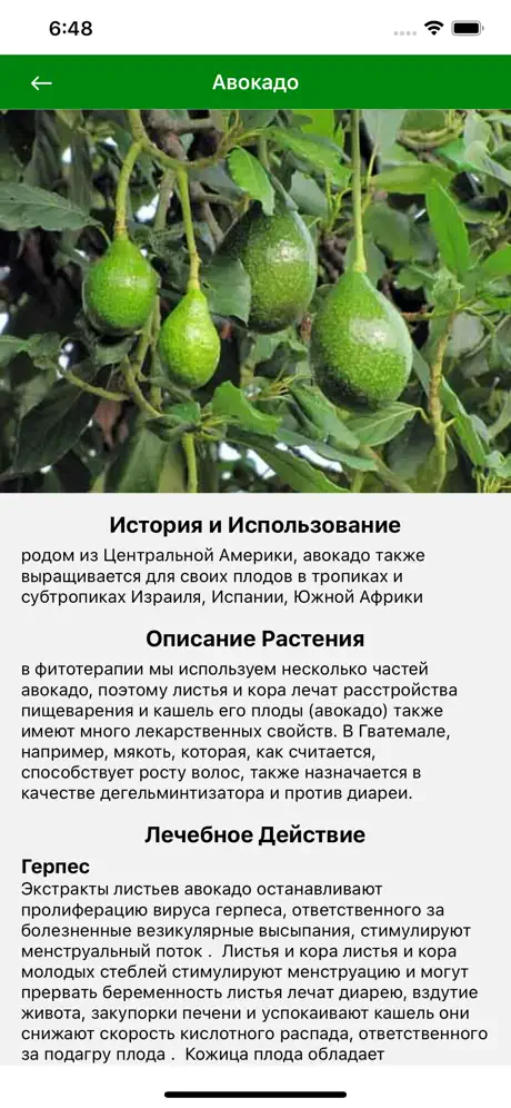 Лекарственные растения мира