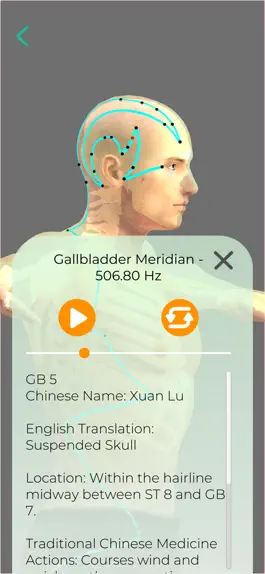 Game screenshot NaturalSynergy for Members apk