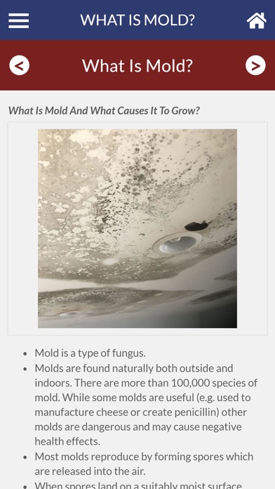 Mold 101 screenshot 2