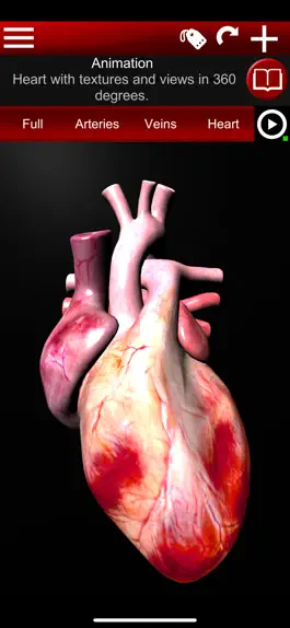 Game screenshot Circulatory System 3D Anatomy hack