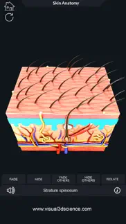 my skin anatomy iphone resimleri 3