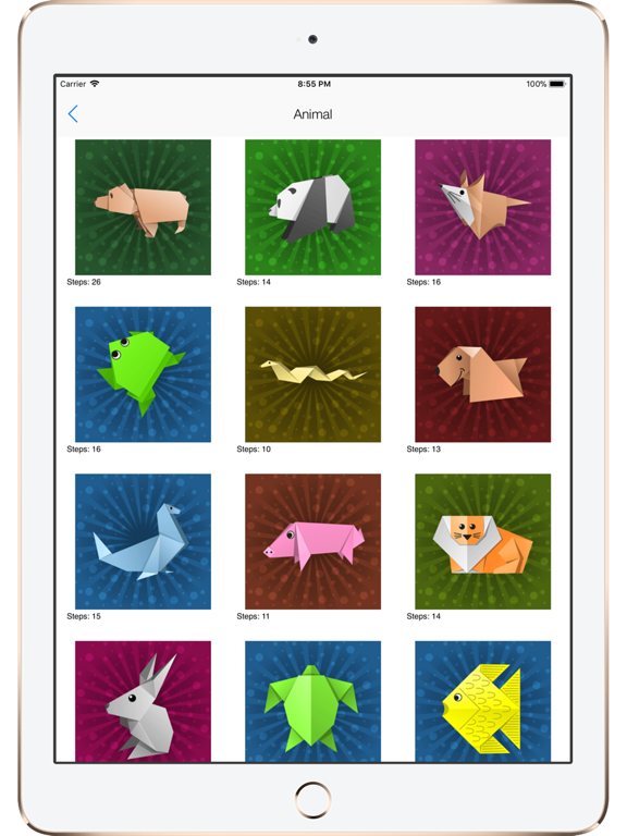 Origami Creator: Fold & Learn iPad screenshot 4 - Graphics & Design app
