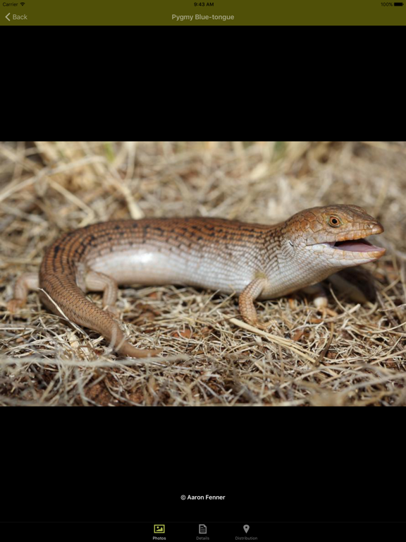 Screenshot #6 pour Grasslands