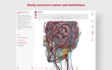 Anatomy & Physiology iPhone image 4