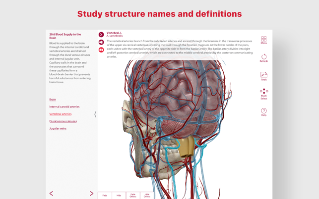 ‎Anatomy & Physiology Screenshot