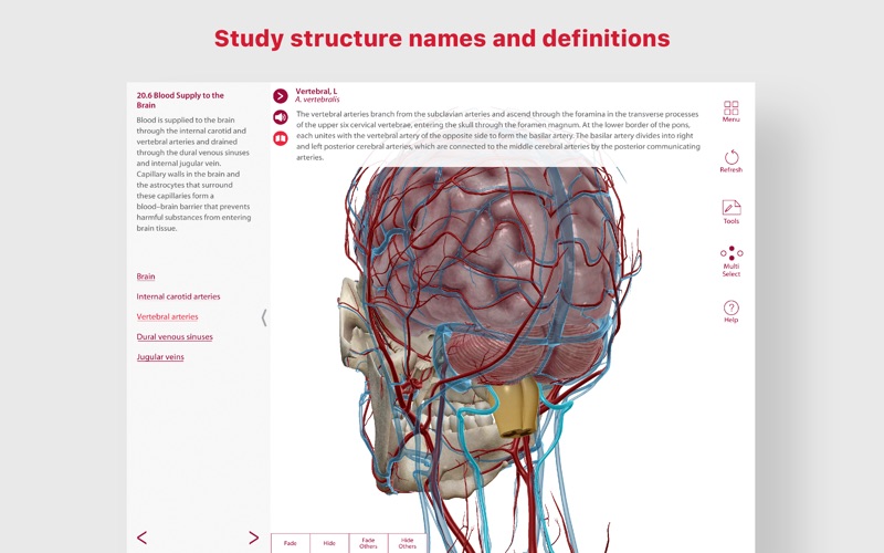 Anatomy & Physiology Screenshot