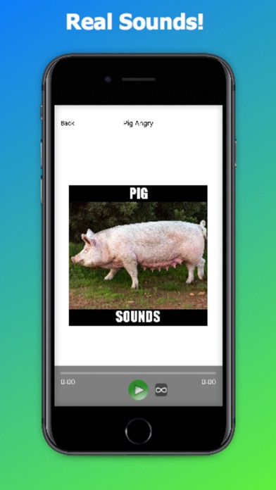 Screenshot #3 pour Pig Sounds and Effects