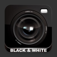 Caméra N&B - noir et blanc Pro pour PC