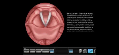 Vocal Pathology: Reflux