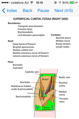 Anatomy Lectures Limbsのおすすめ画像4