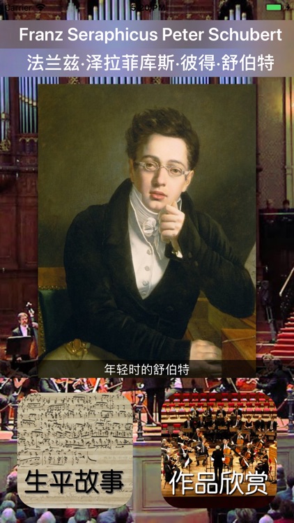 音乐家-舒伯特