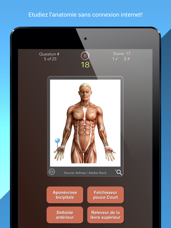 Screenshot #6 pour Anatomist – Anatomie Quiz Jeu