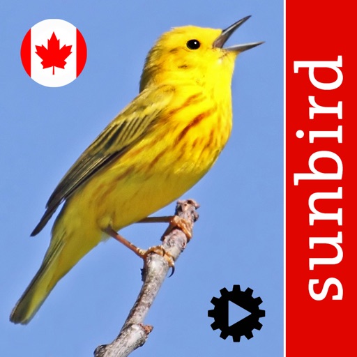 Bird Song Id Canada Automatic Recognition and Reference of Songs and Calls of Canadian Birds icon