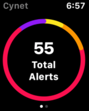 Cynet Dashboard