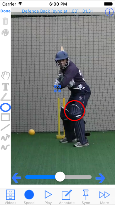 Cricket Coach Plus HD Screenshot