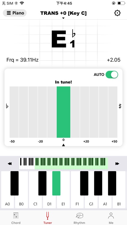 gstrings - Guitar tuning app screenshot-9