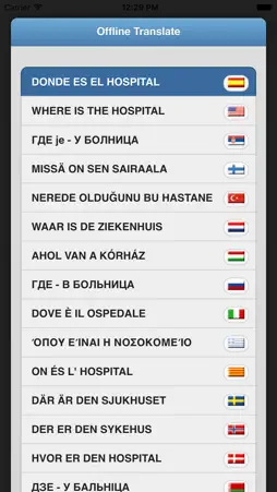 Offline Translate screenshot 2