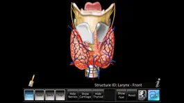 Game screenshot Larynx ID apk