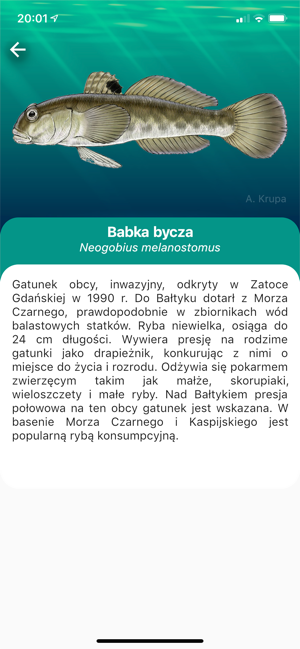 Przyjaciele Bałtyku(圖1)-速報App