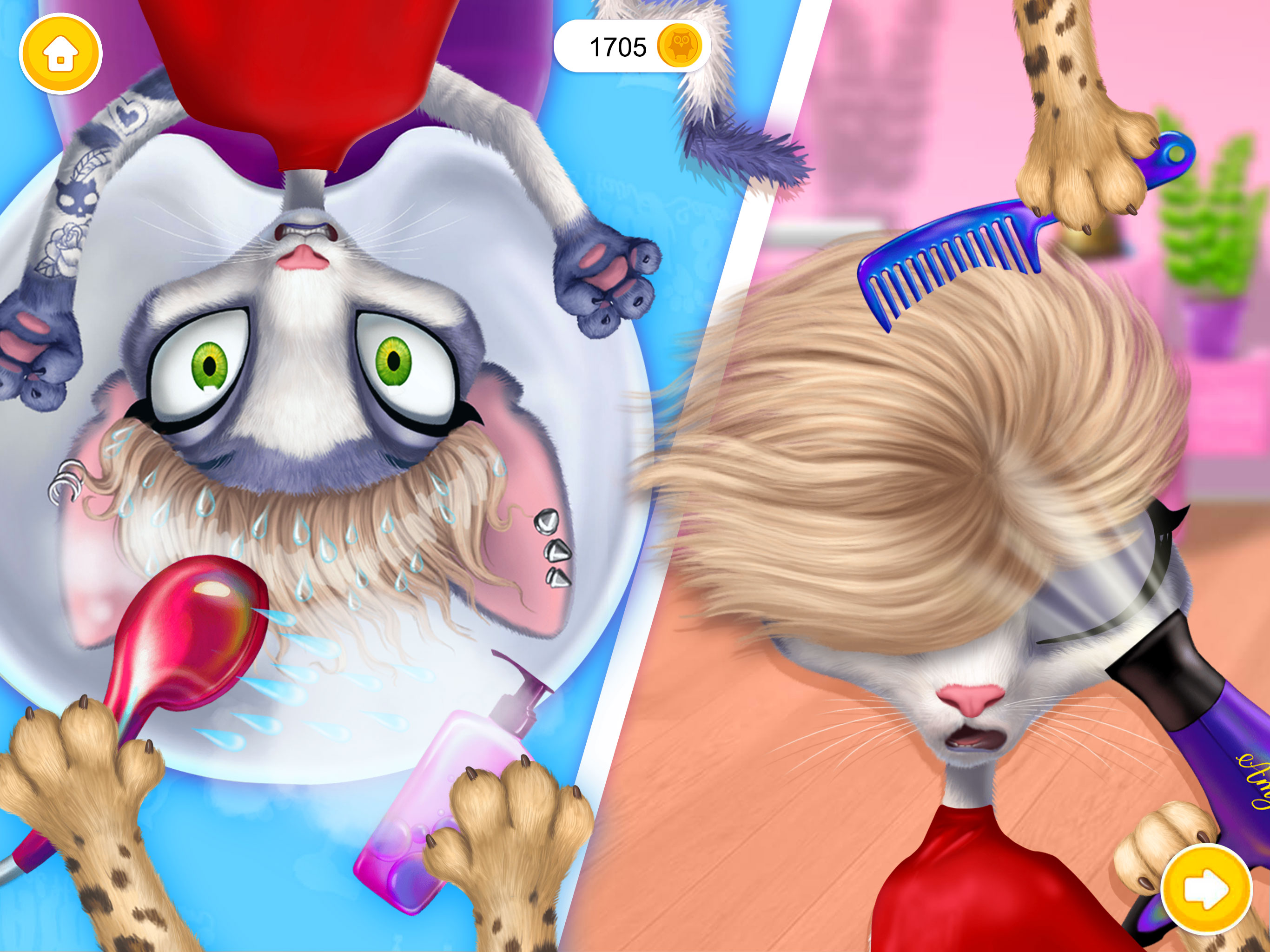 Amy's Animal Hair Salon screenshot 15