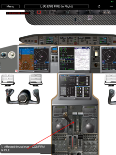 Global 6000 Flow Trainer screenshot 8