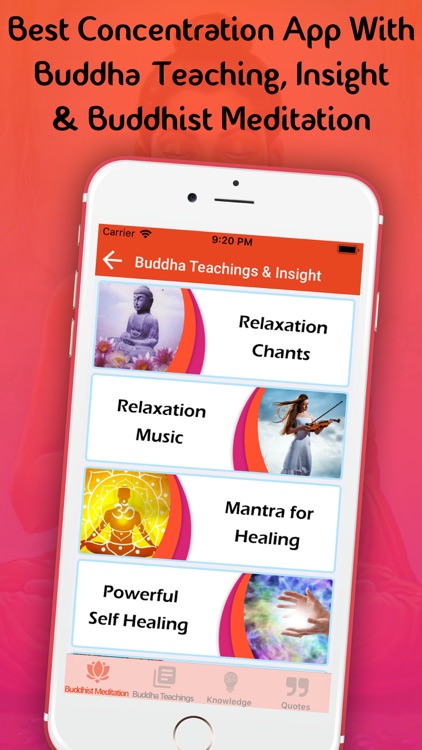 Buddha Teaching & Insight