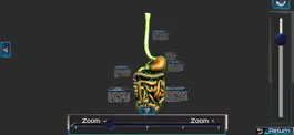 Game screenshot Human anatomy system & parts hack