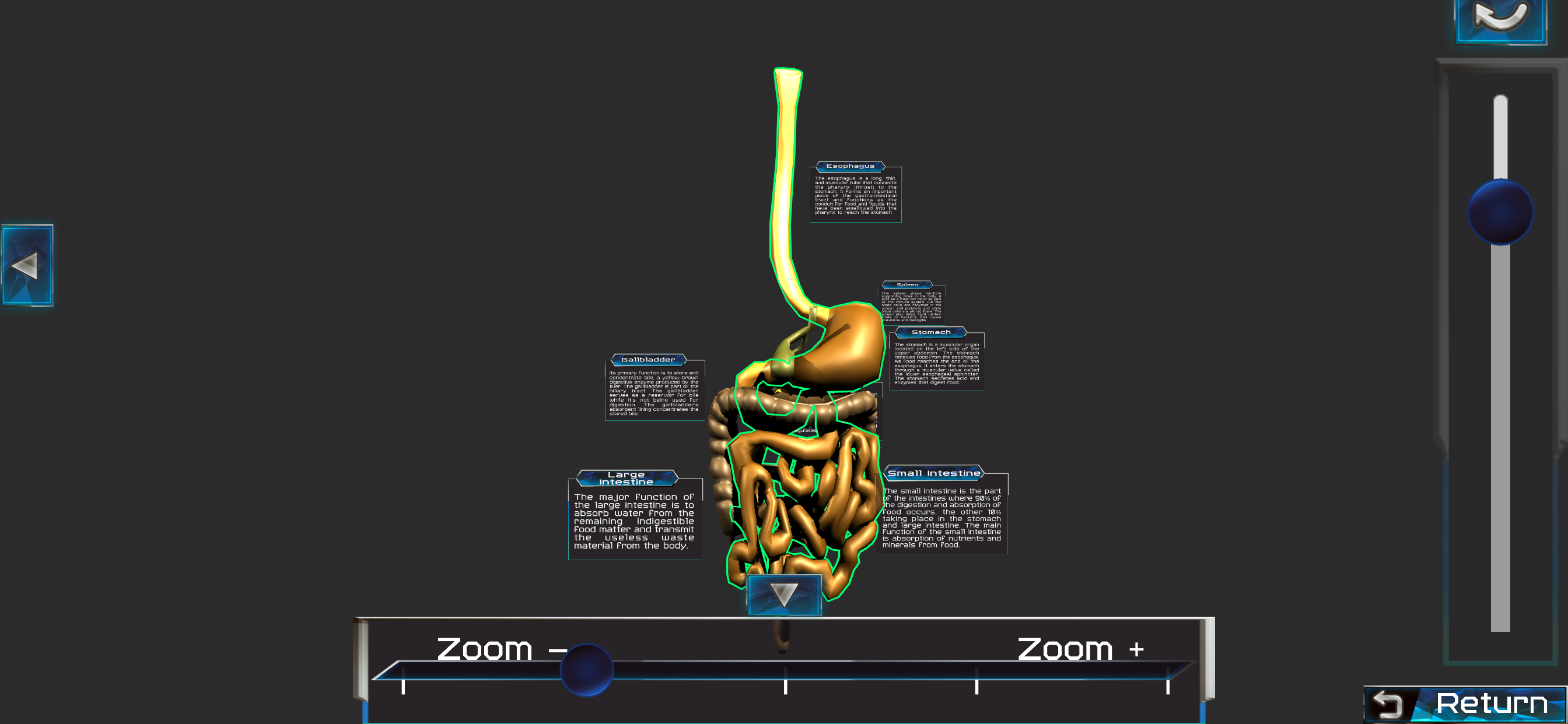 Human anatomy system & parts screenshot 3