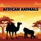 Icon African Animals Simulator