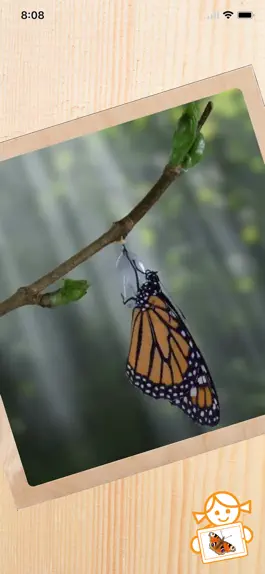 Game screenshot Rolf AR Life of the Butterfly apk