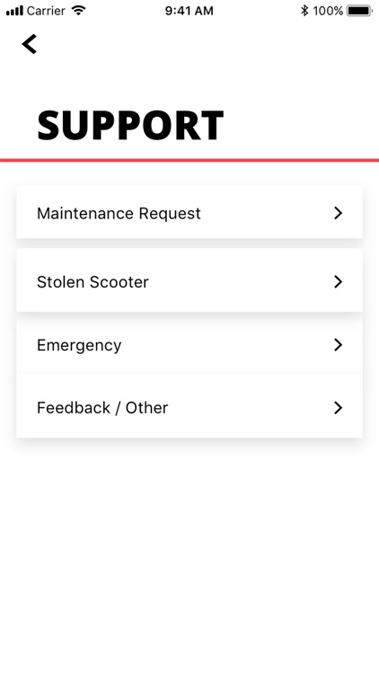 Brooklyness screenshot-3