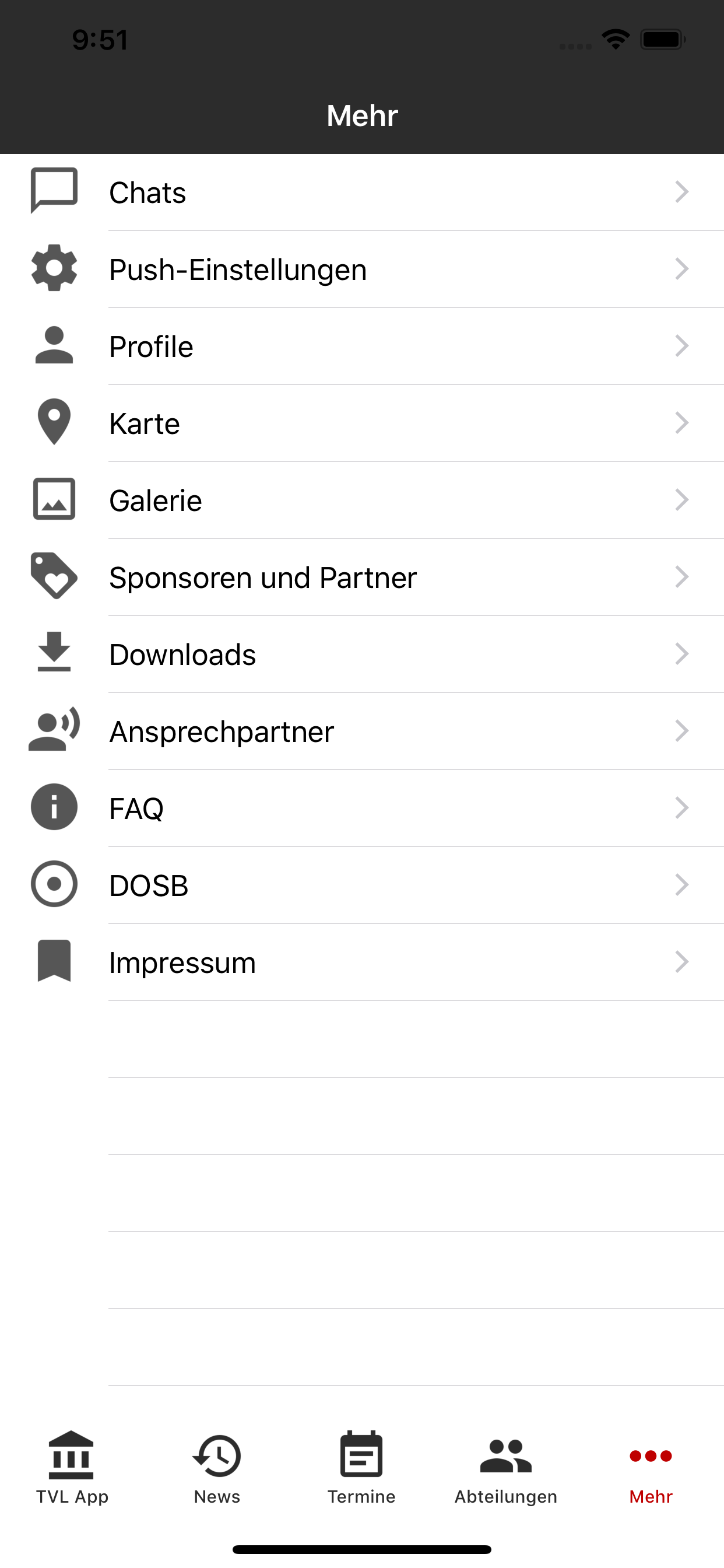 TV Leiselheim screenshot 4