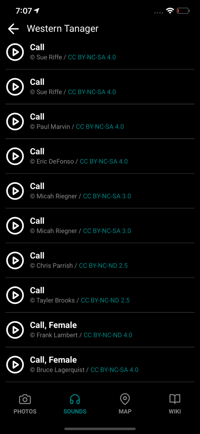 GoBird - Guide to Nearby Birds
