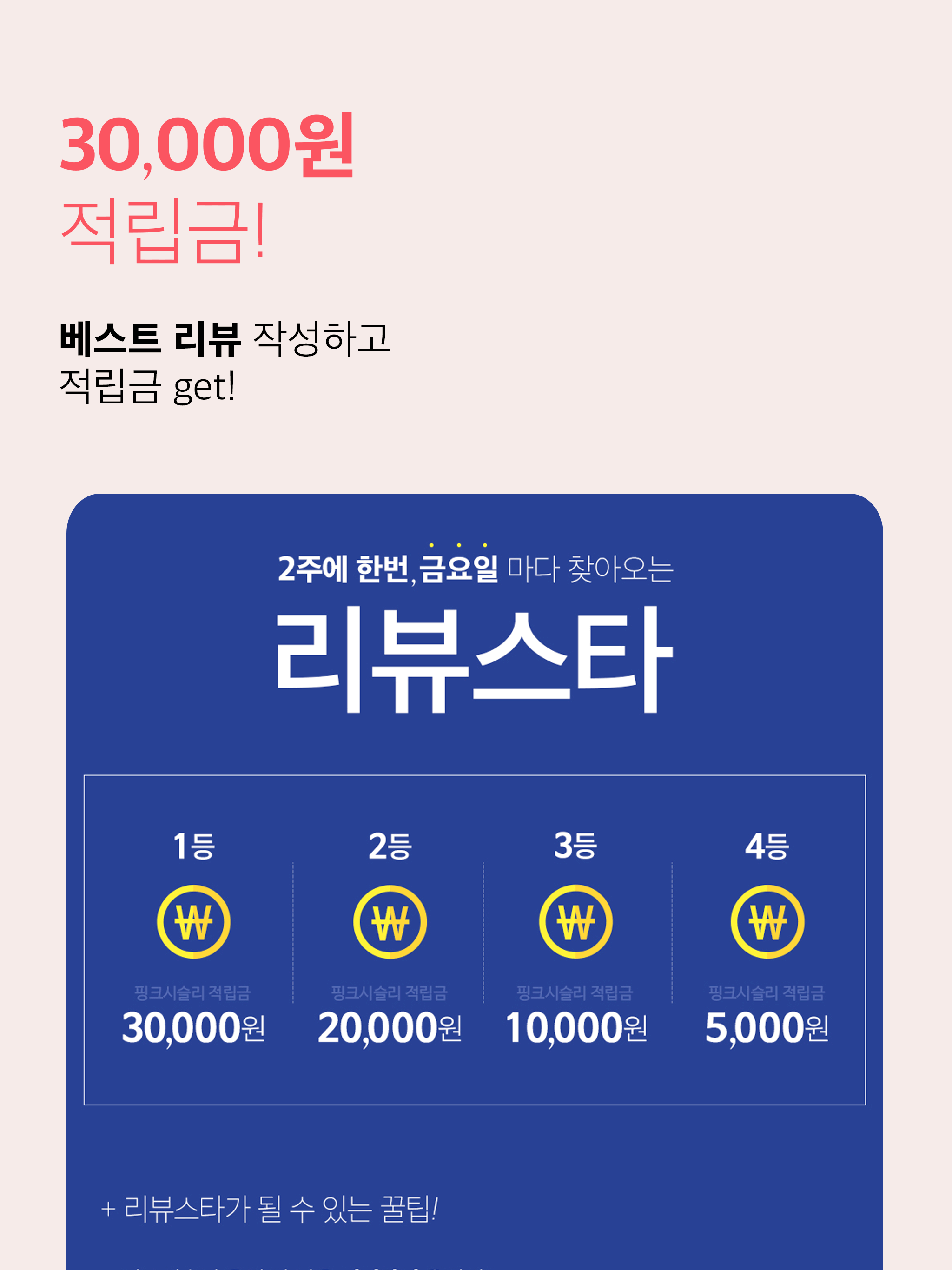 핑크시슬리 PinkSisly