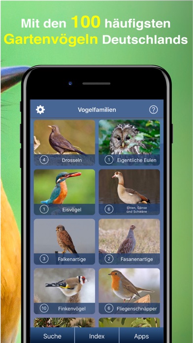 Screenshot #3 pour Vogel Id Gartenvögel bestimmen