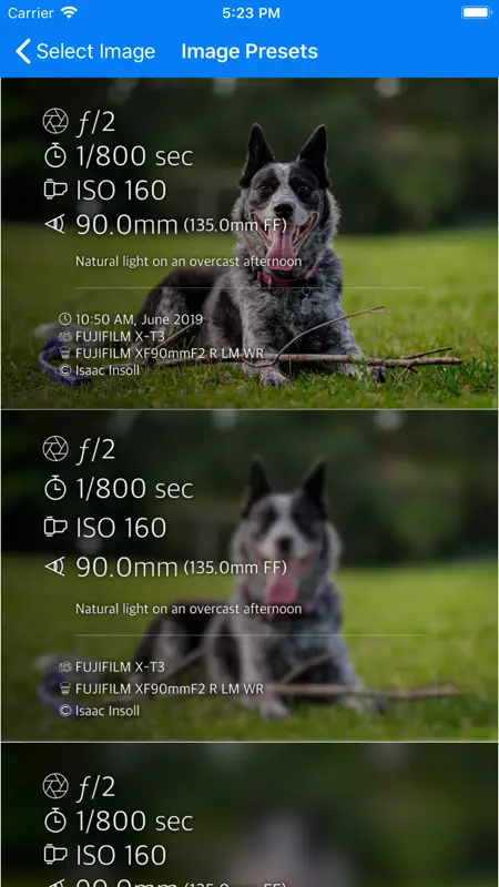 Photo Summary screenshot 2 of 3