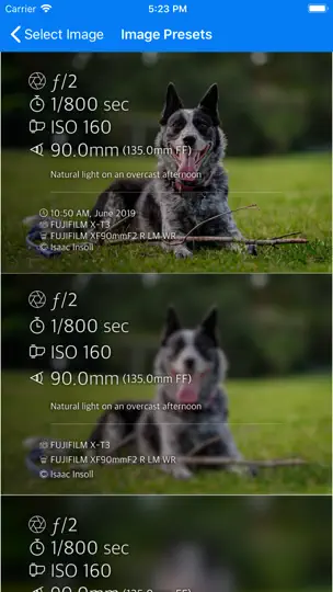 Captura de pantalla de Photo Summary en iPhone 2