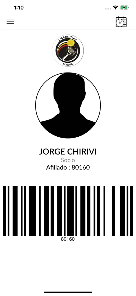 Liga de Tenis