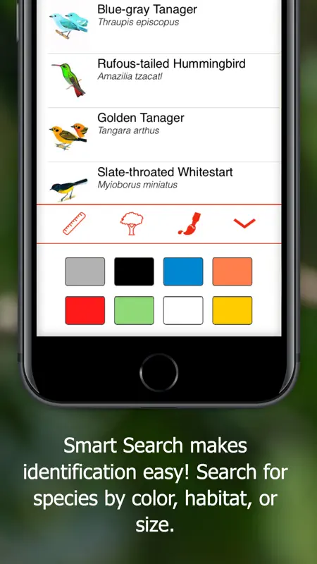 Birds of Ecuador - Field Guide screenshot 4 of 8