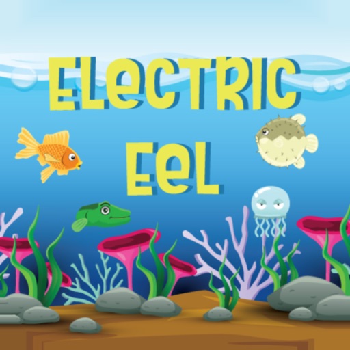 Electric Eel by Christopher Graf
