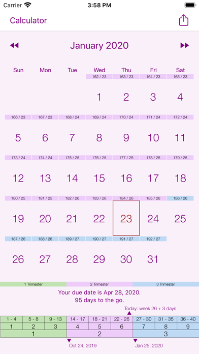 My Pregnancy Calendar Screenshot