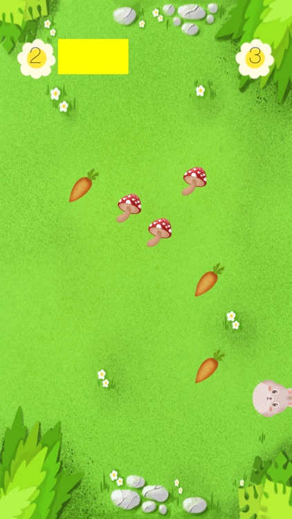 Rabbit On The Meadow