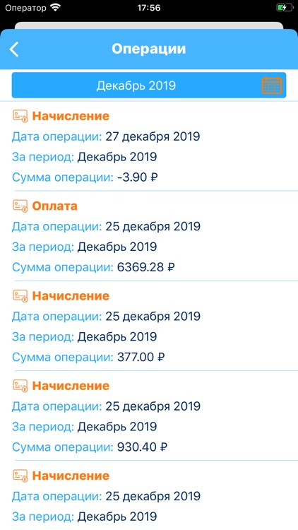 Личный кабинет РИЦ screenshot-4