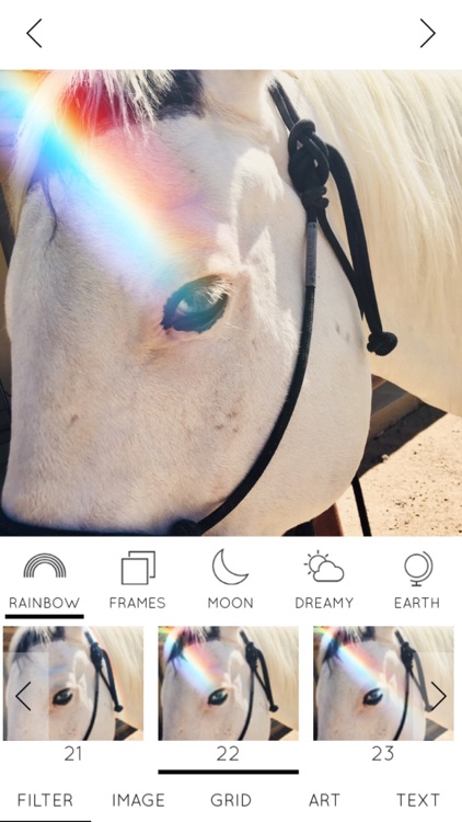 Rainbow Love Deluxe screenshot-8