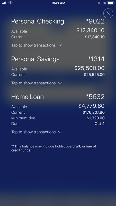 The Hometown Savings Bank Screenshot